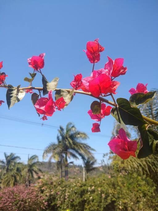 Chale Aconchegante Em Estancia Climatica Santo Antônio do Leite Exterior foto