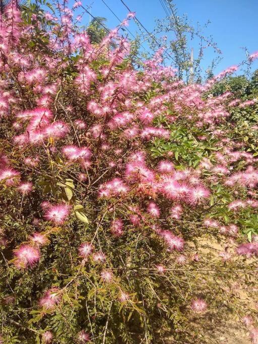 Chale Aconchegante Em Estancia Climatica Santo Antônio do Leite Exterior foto