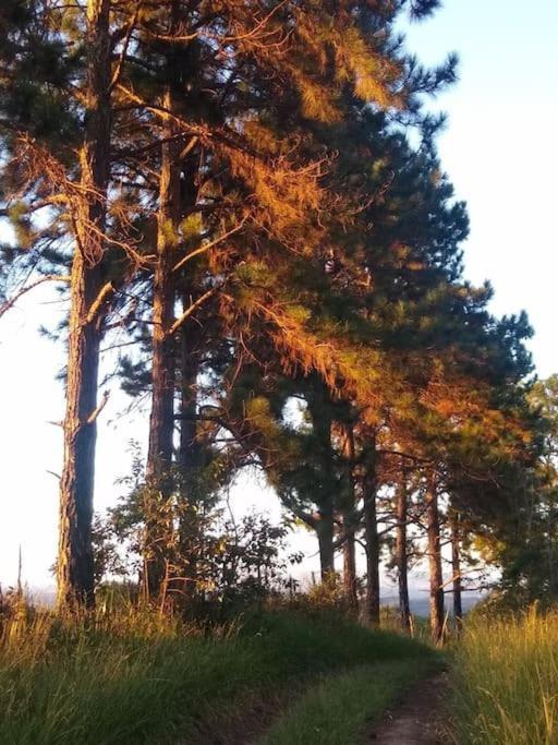 Chale Aconchegante Em Estancia Climatica Santo Antônio do Leite Exterior foto
